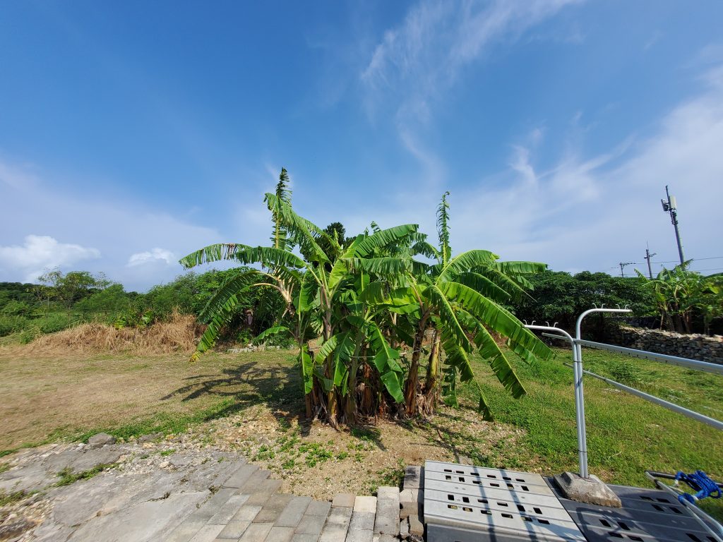 今日の草刈りは超過酷😭暑すぎてヤバいです。