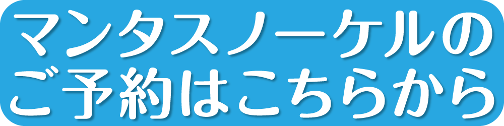 スノーケル予約ボタン