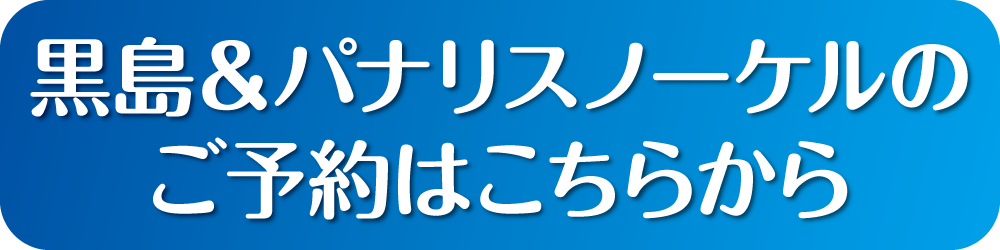 スノーケル予約ボタン
